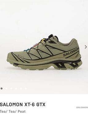 Salomon XT-6 GTX Trail Shoe — Size 8.5 Women’s, 7.5 Men’s - Tea Peat